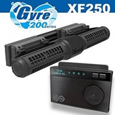 MAXPECT Gyre XFB-250 (with controller)